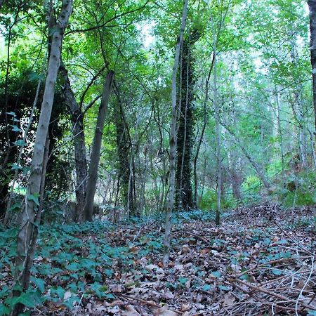 Eco Camping Juncal Hotel Marco de Canavezes Kültér fotó