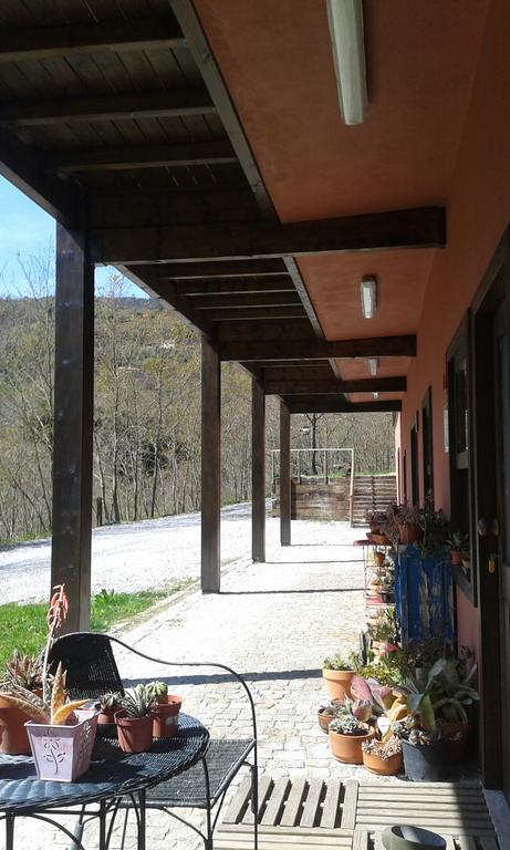 Eco Camping Juncal Hotel Marco de Canavezes Kültér fotó