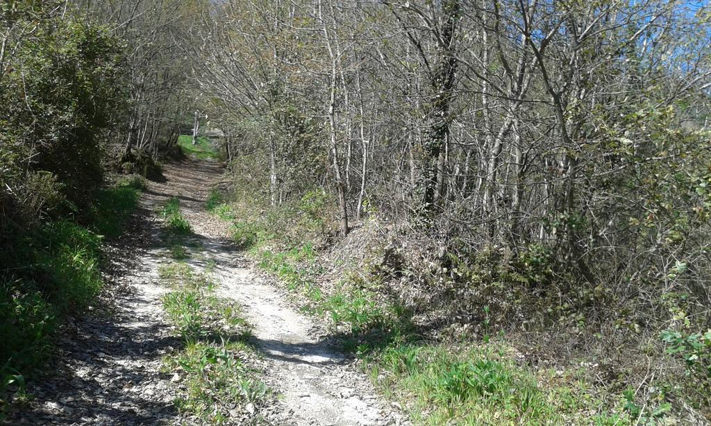 Eco Camping Juncal Hotel Marco de Canavezes Kültér fotó