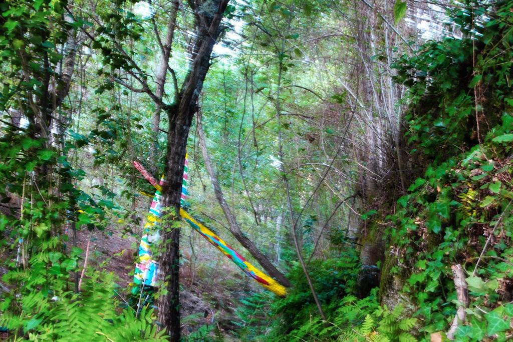 Eco Camping Juncal Hotel Marco de Canavezes Kültér fotó